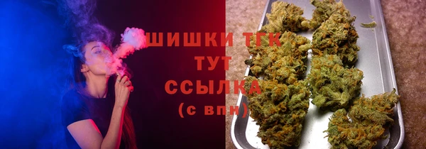 ГАЛЛЮЦИНОГЕННЫЕ ГРИБЫ Богданович