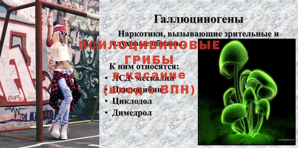 ГАЛЛЮЦИНОГЕННЫЕ ГРИБЫ Богородск