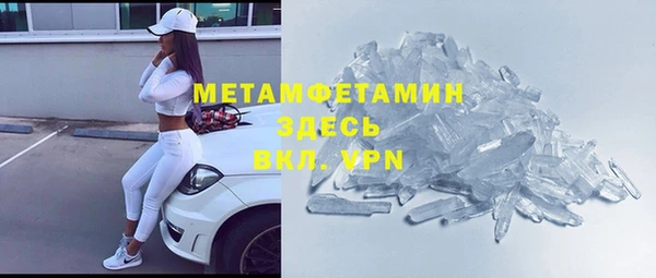 ГАЛЛЮЦИНОГЕННЫЕ ГРИБЫ Богданович