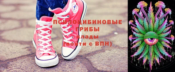 ГАЛЛЮЦИНОГЕННЫЕ ГРИБЫ Богданович