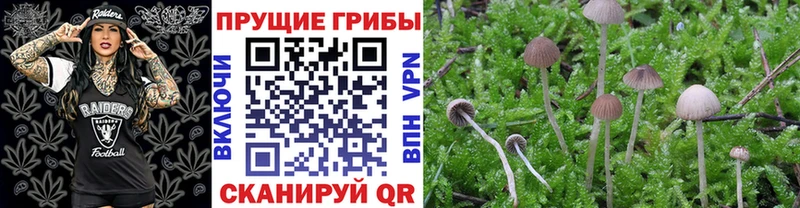 Купить закладки  Гороховец  Галлюциногенные грибы ЛСД 